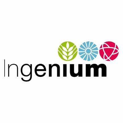 Ingenium logo photo, technology, CRM, Data, Business Consulting, Growth, digital transformation, customer experience
