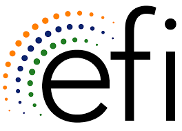 EFI logo photo, technology, CRM, Data, Business Consulting, Growth, digital transformation, customer experience
